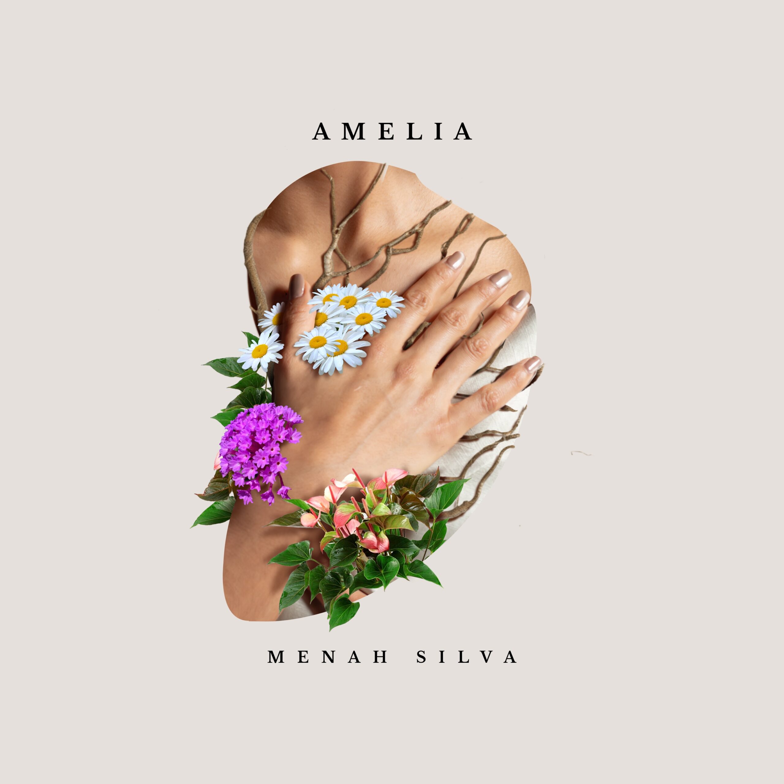 Portada de Álbum